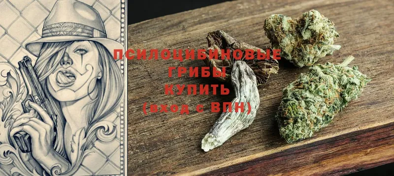 Галлюциногенные грибы Psilocybine cubensis  купить наркоту  Верхняя Пышма 